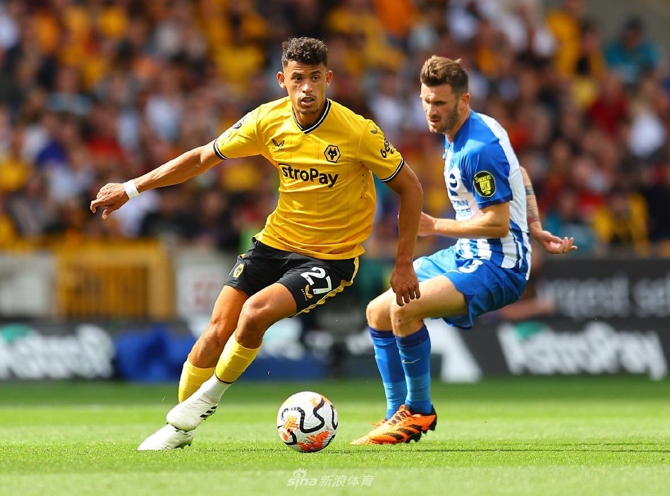 人或者灰熊 人或者灰熊