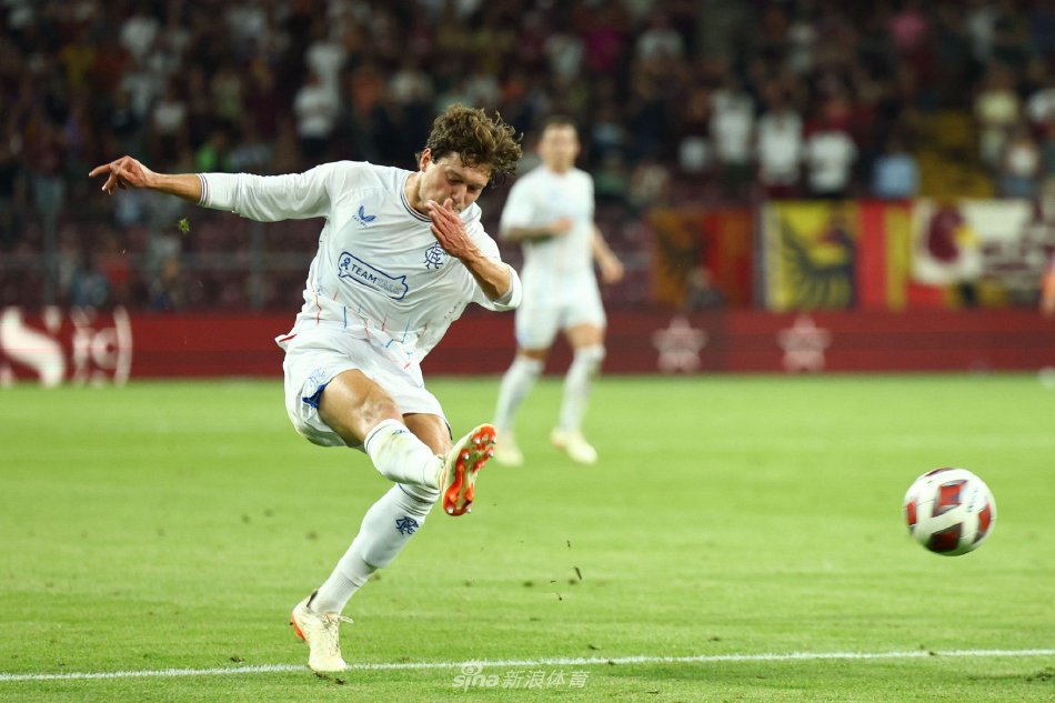 的无形资产 的无形资产