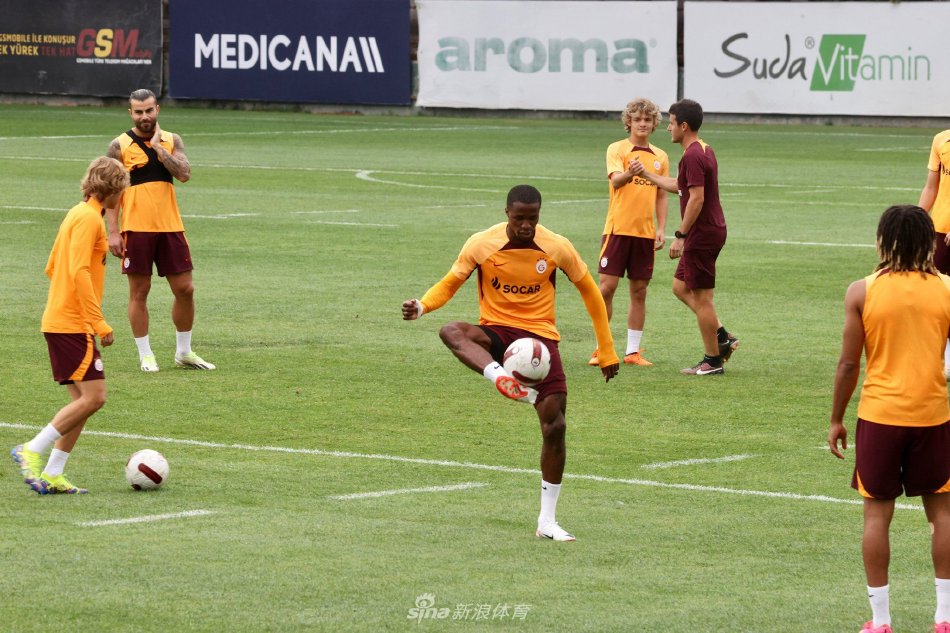 砍下高分 砍下高分